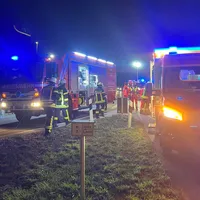PKW gegen Gebüsch (3).jpeg
