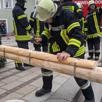 maibaum_ried_12.jpeg