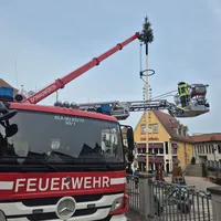 Maibaum 2026 (30).jpeg