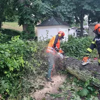 20230621_baum_auf_fahrbahn_schneegarten_3.jpeg