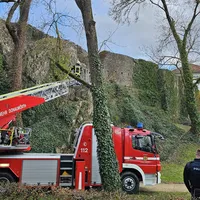 20240317_personenrettung_mangoldfelsen_5.jpeg