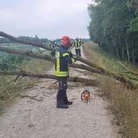 2026.07.31 Umgestürzter Baum (2).jpeg