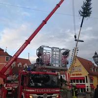 maibaum_ried_2.jpg