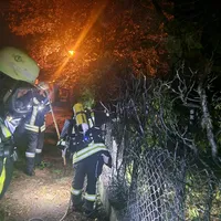 20231017_brand_hecke_schlesierstrasse_2.jpeg