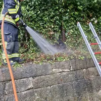 2026.06-1.12 Brand Zaun (2).jpg