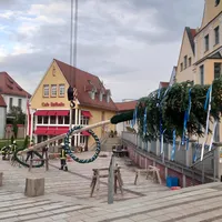 maibaum_ried_4-1.jpg
