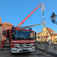 abbau_maibaum_2.jpeg