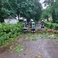 20230621_baum_auf_fahrbahn_schneegarten_7.jpeg