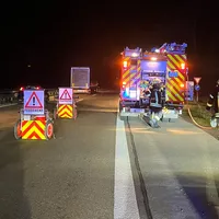 PKW gegen Gebüsch (1).jpeg