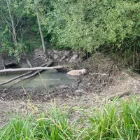 Tierrettung Schaf (1).jpeg